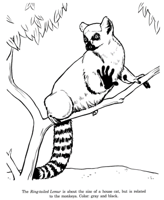 dibujo de lemur en arbol